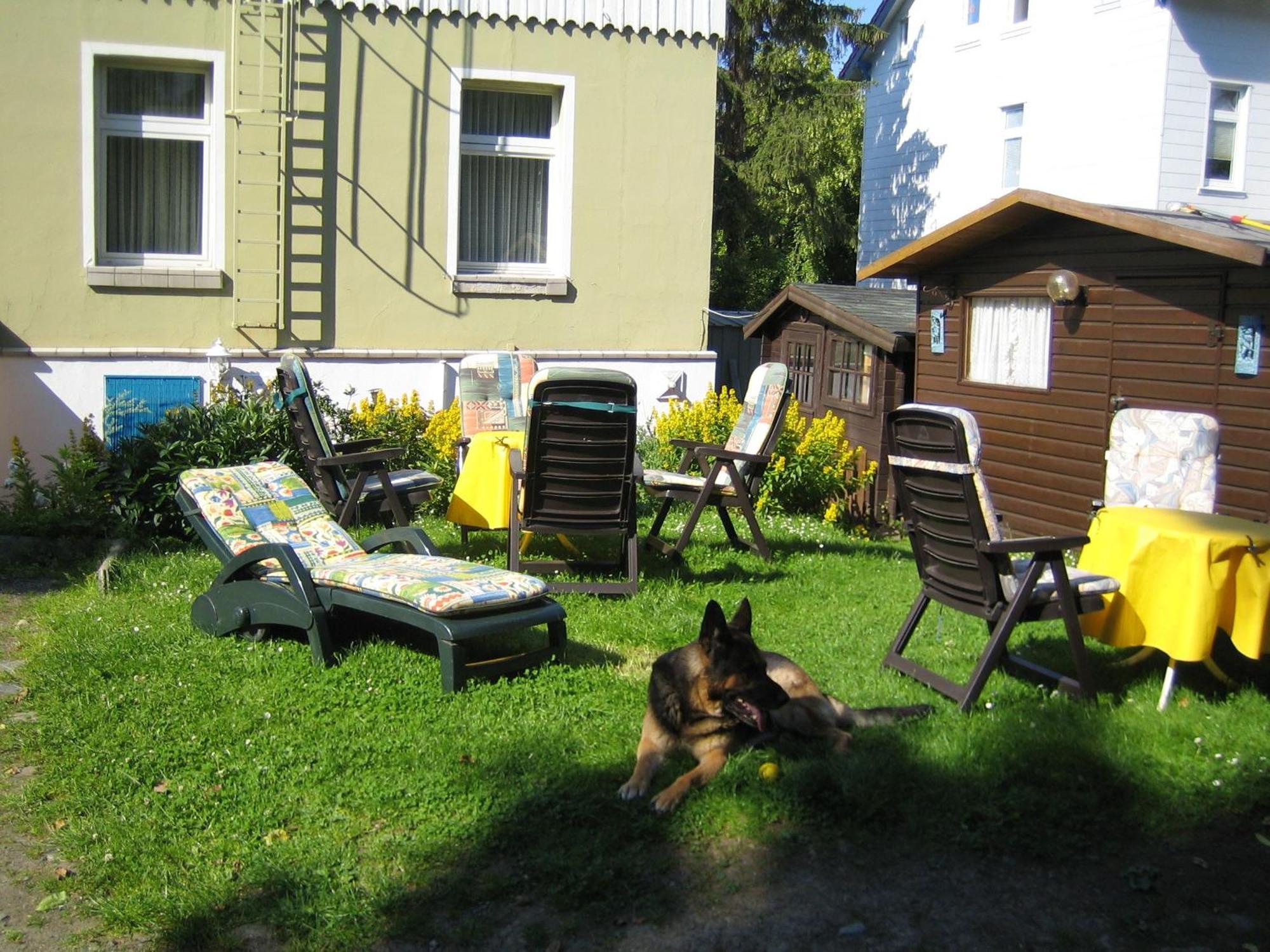 Hotel Fernblick Bad Harzburg Zewnętrze zdjęcie